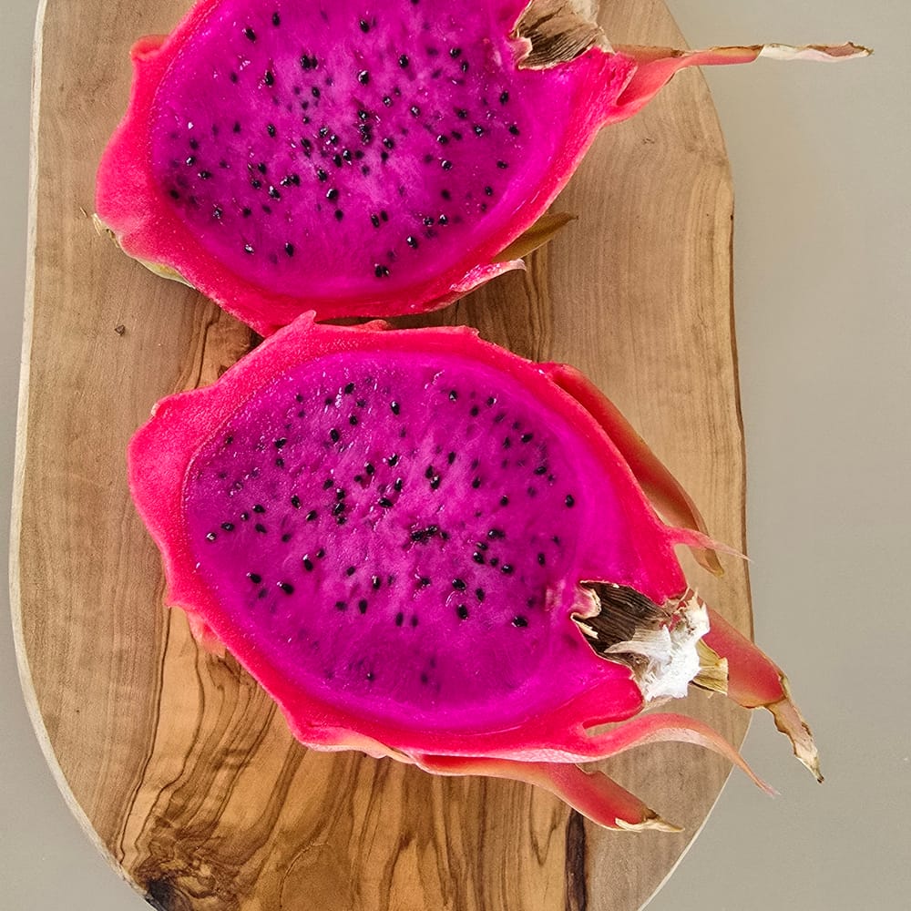 Santa Barbara Red Dragon Fruit: Self-Fertile & Sweet