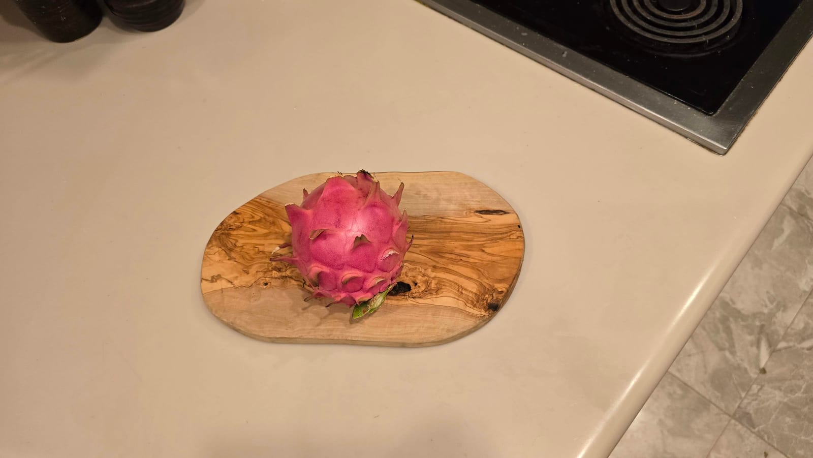 Dragon fruit growing at the Sky Botanicals farm
