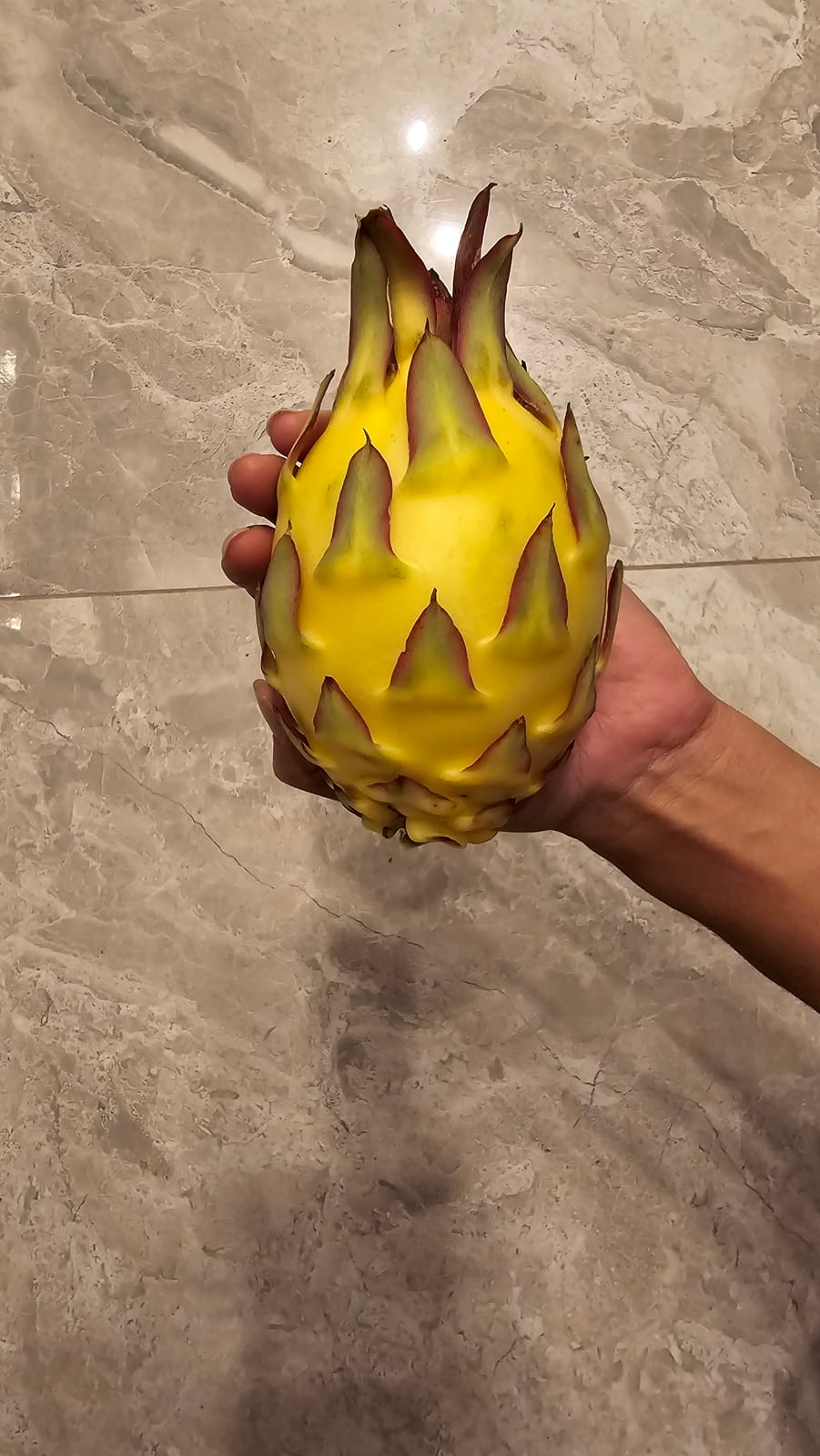 Townsend Red Dragon Fruit: The Truth About the Variety